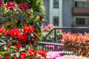 4702 176th St Sw - Photo 1 of 1