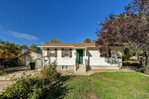 featured image of 429 Center St