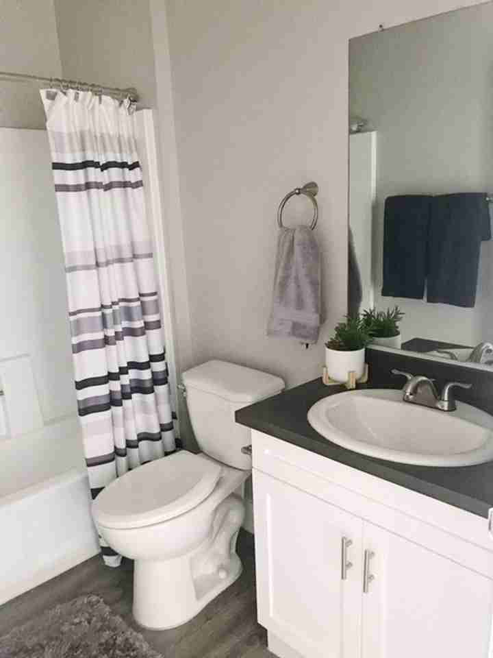 Little Roscoe Apartments - Photo 3 of 4