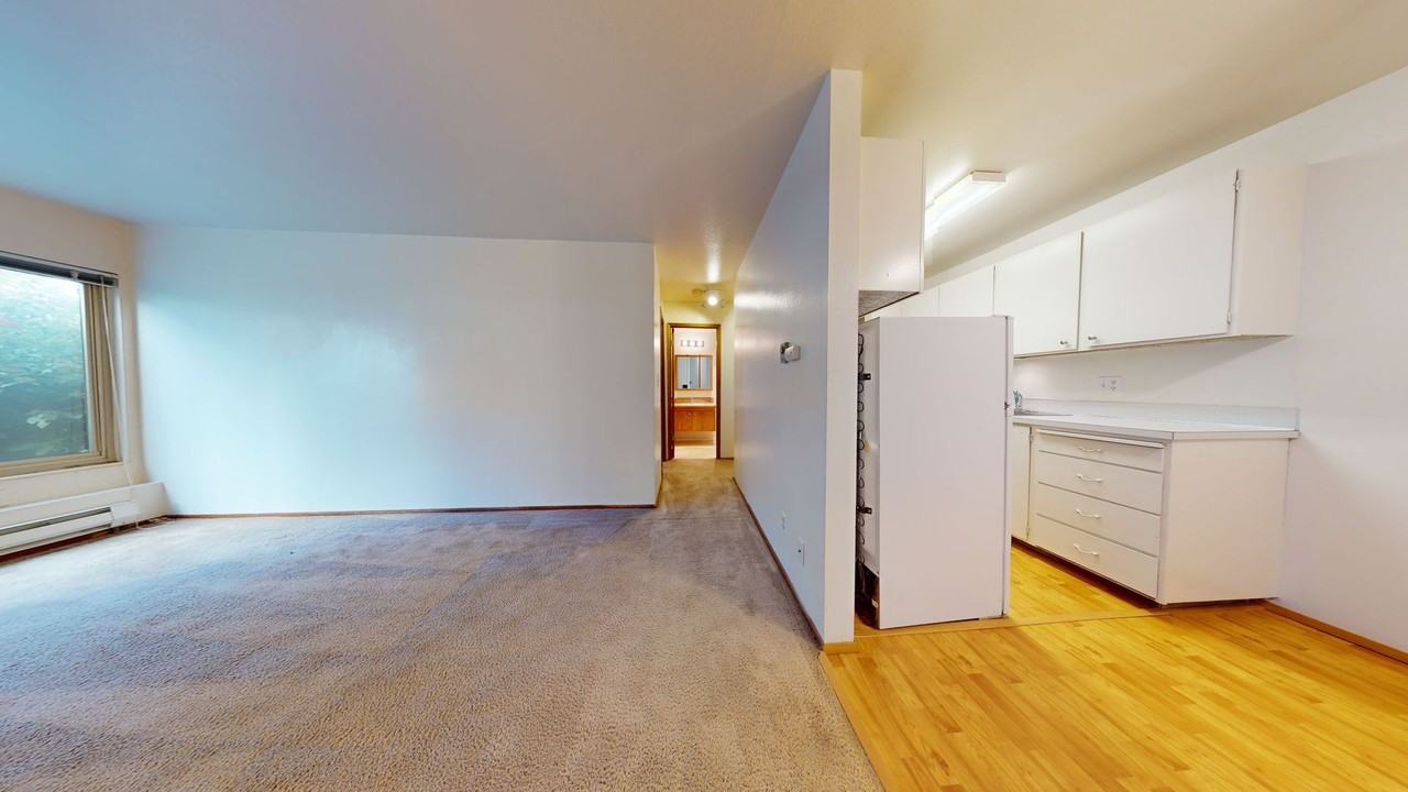 Coho - Photo 3 of 25