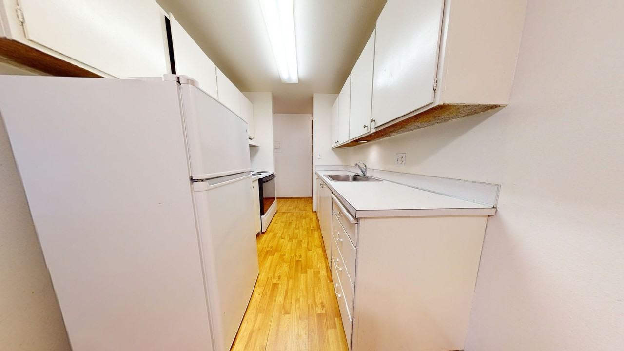 Coho - Photo 6 of 15