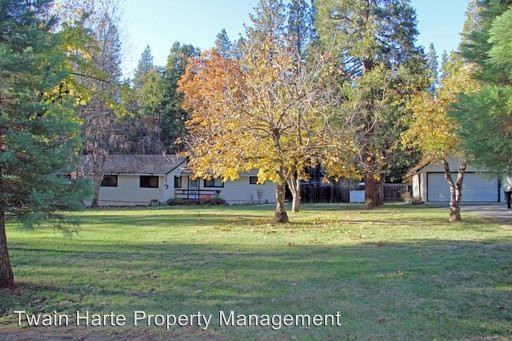 22600 Twain Harte Dr - Photo 3 of 23