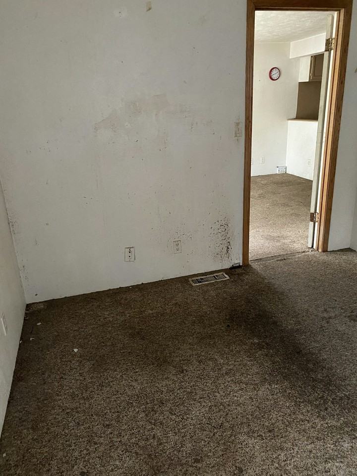 2414 West Malone Street - Photo 7 of 22