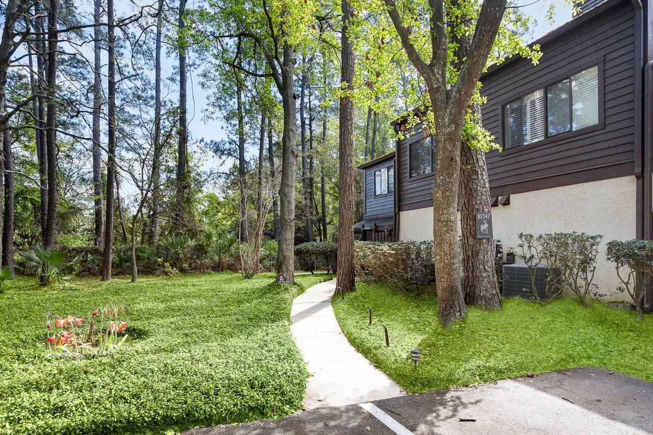 10347 Big Tree Ter - Photo 3 of 29