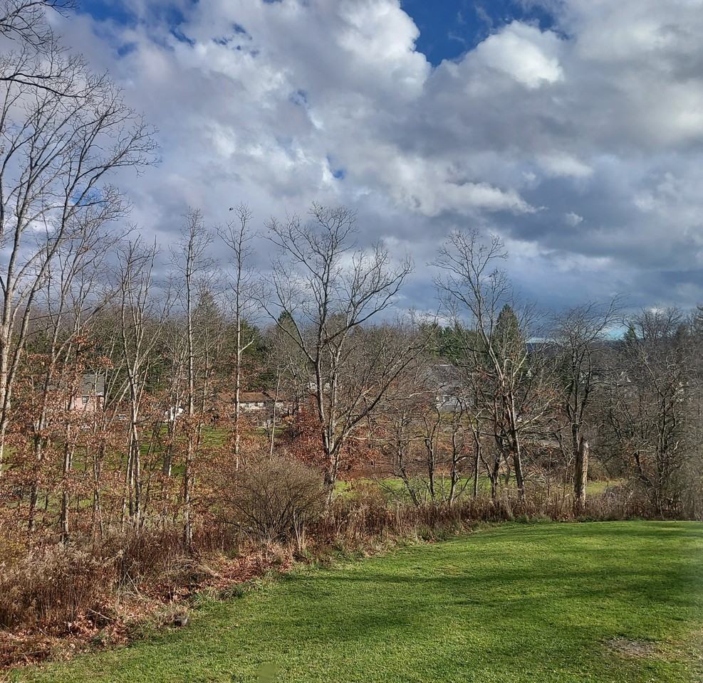 109 C St - Photo 3 of 16