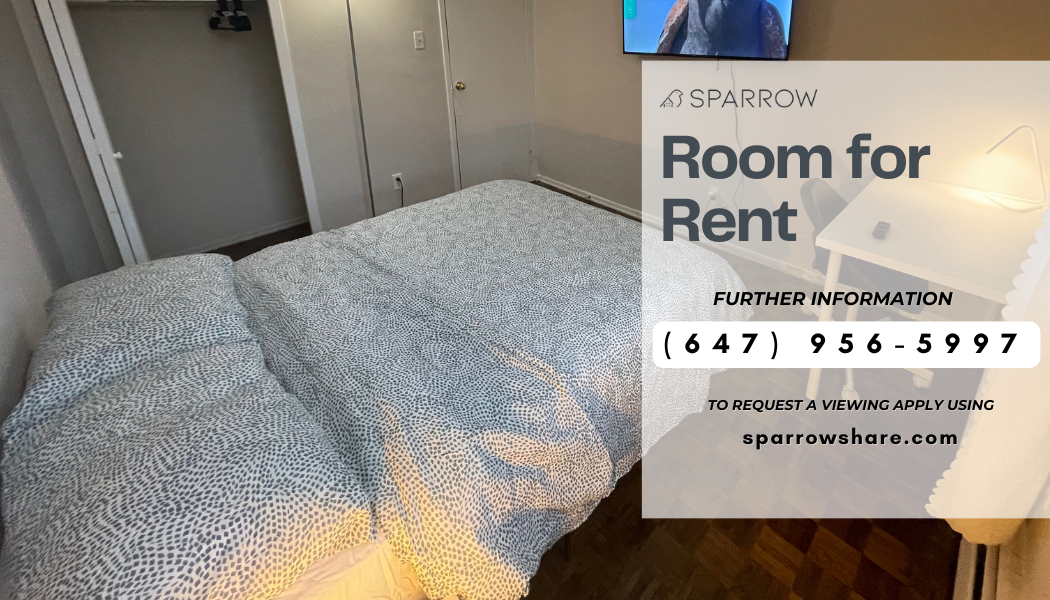 Beverley St & Stephanie St