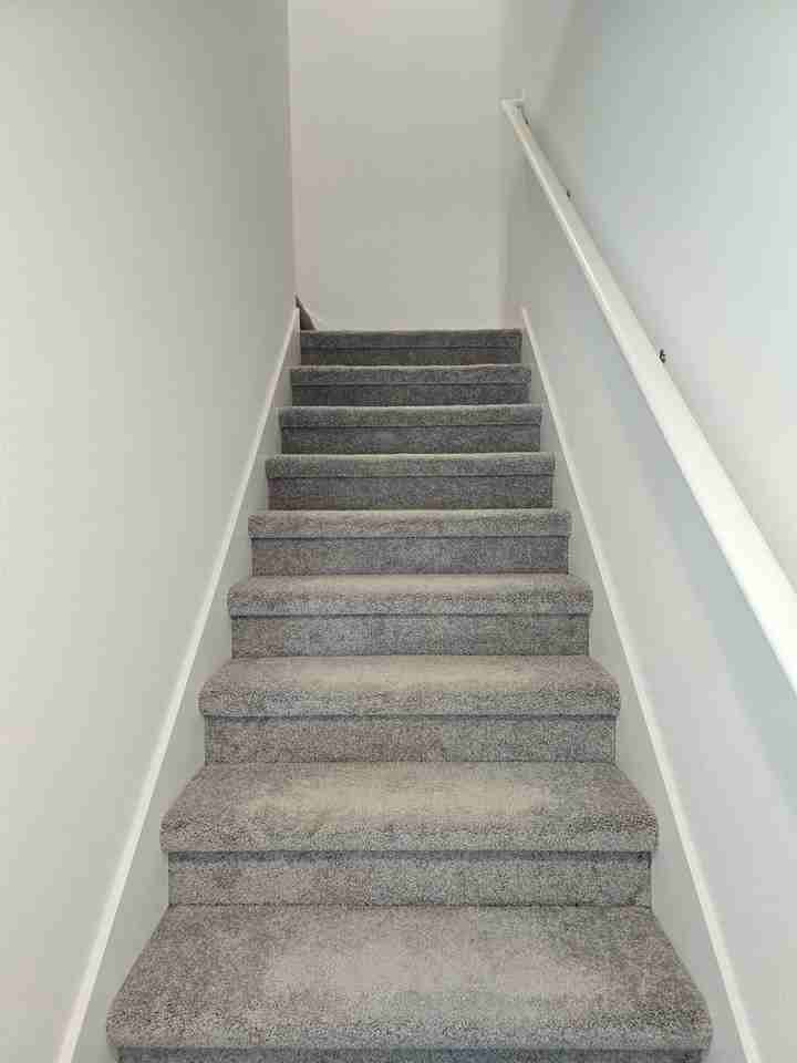 10824 Fowlers Bluff Ct - Photo 6 of 19