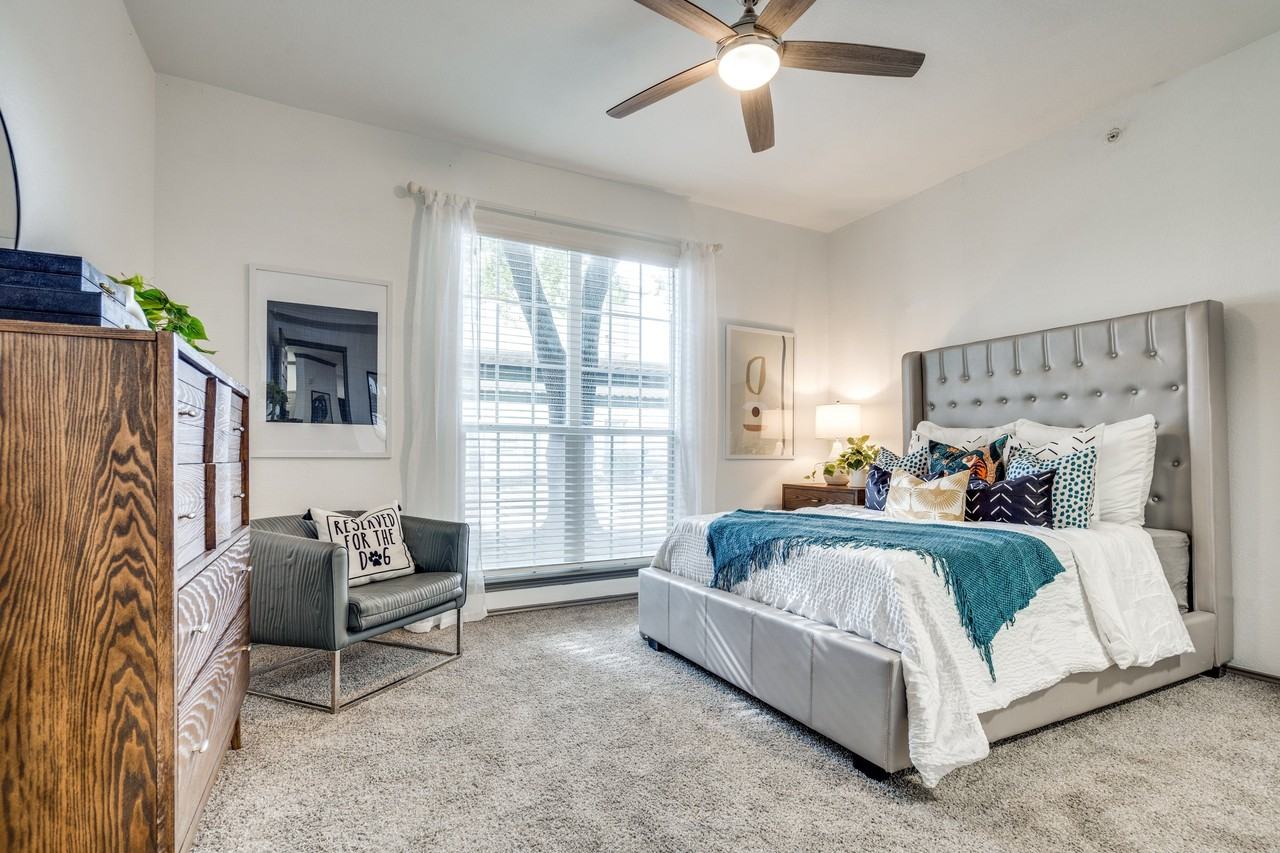 Palencia - Photo 7 of 24