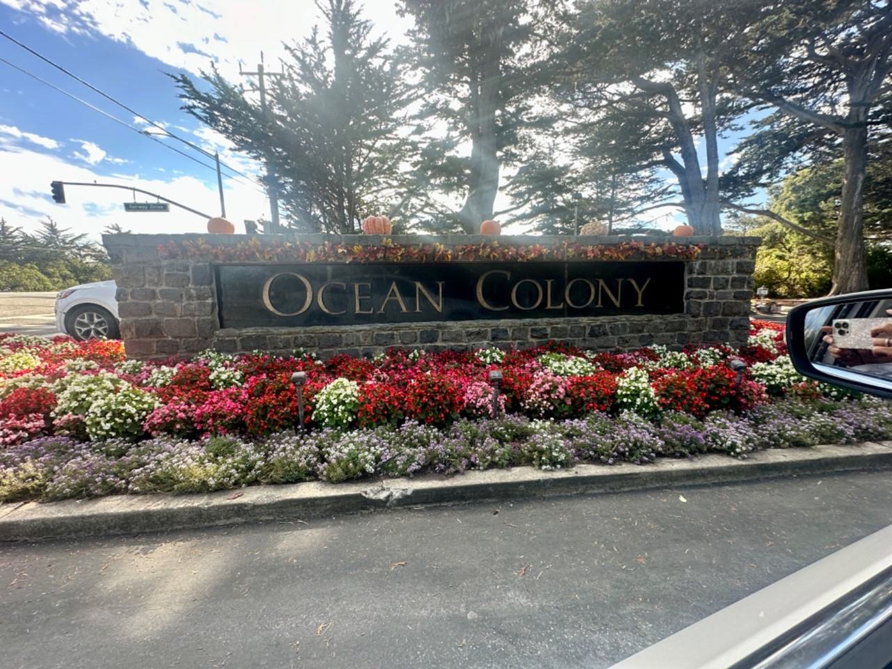 447 Burning Tree Ct - Photo 2 of 12