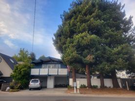 224 Center Ave #A - Photo 1 of 1