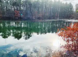 724 Monmouth Road #41 - Photo 3 of 20