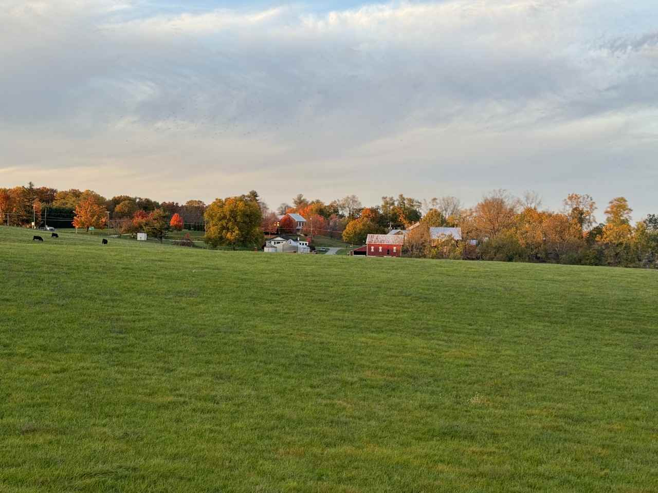 3499 Dayhoff Dr - Photo 3 of 20