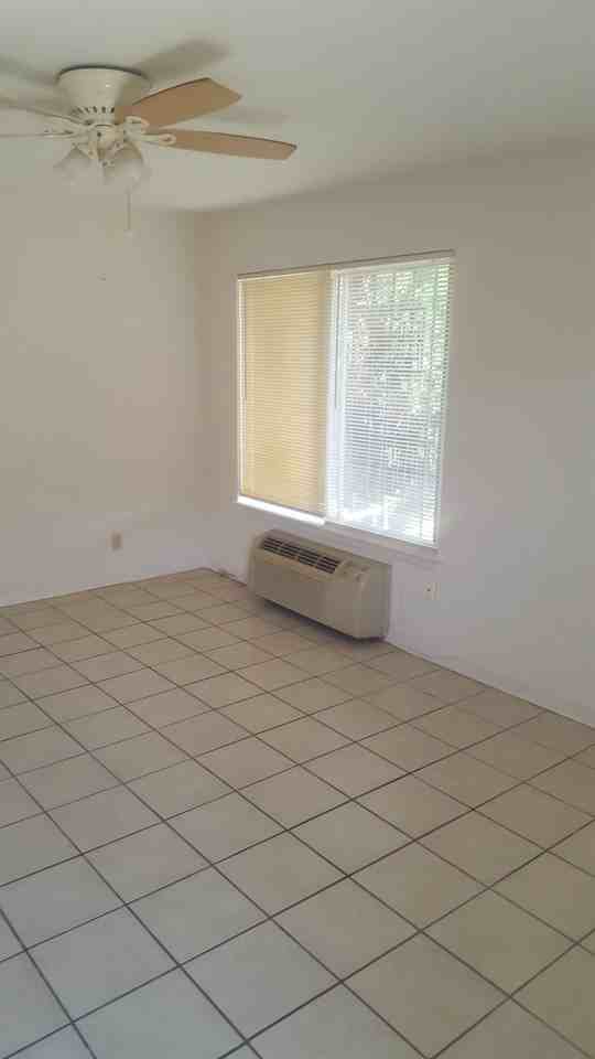 647 Morningview Dr - Photo 4 of 16