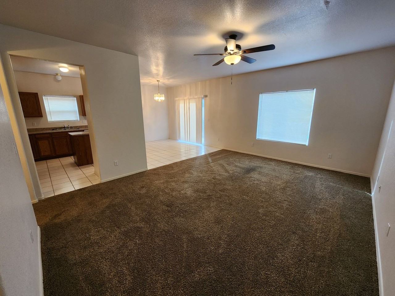 5084 Calle Verde - Photo 3 of 24