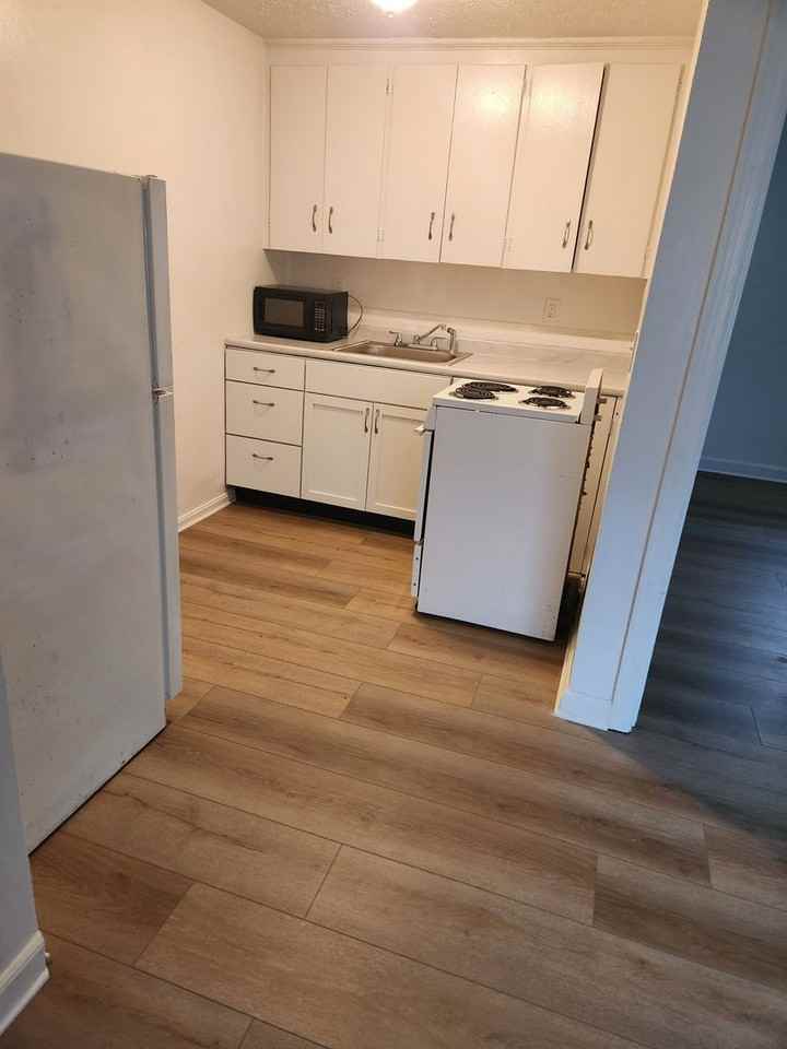 2226 Mayflower Mnr - Photo 6 of 12