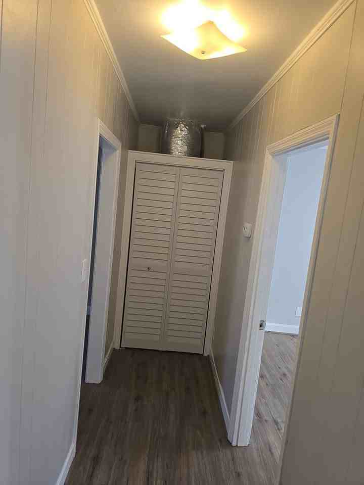 3700 Live Oak St - Photo 7 of 12