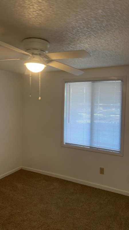 33305 Ryan Dr - Photo 7 of 15