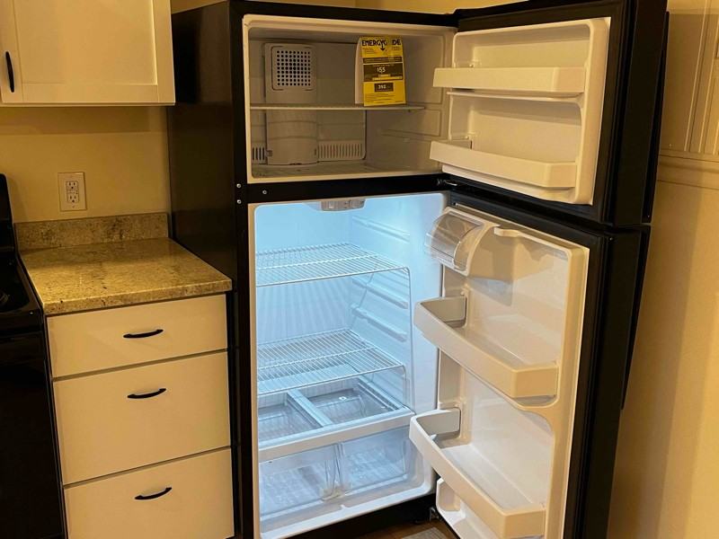 529 E Grand River Ave #2 - Photo 6 of 20