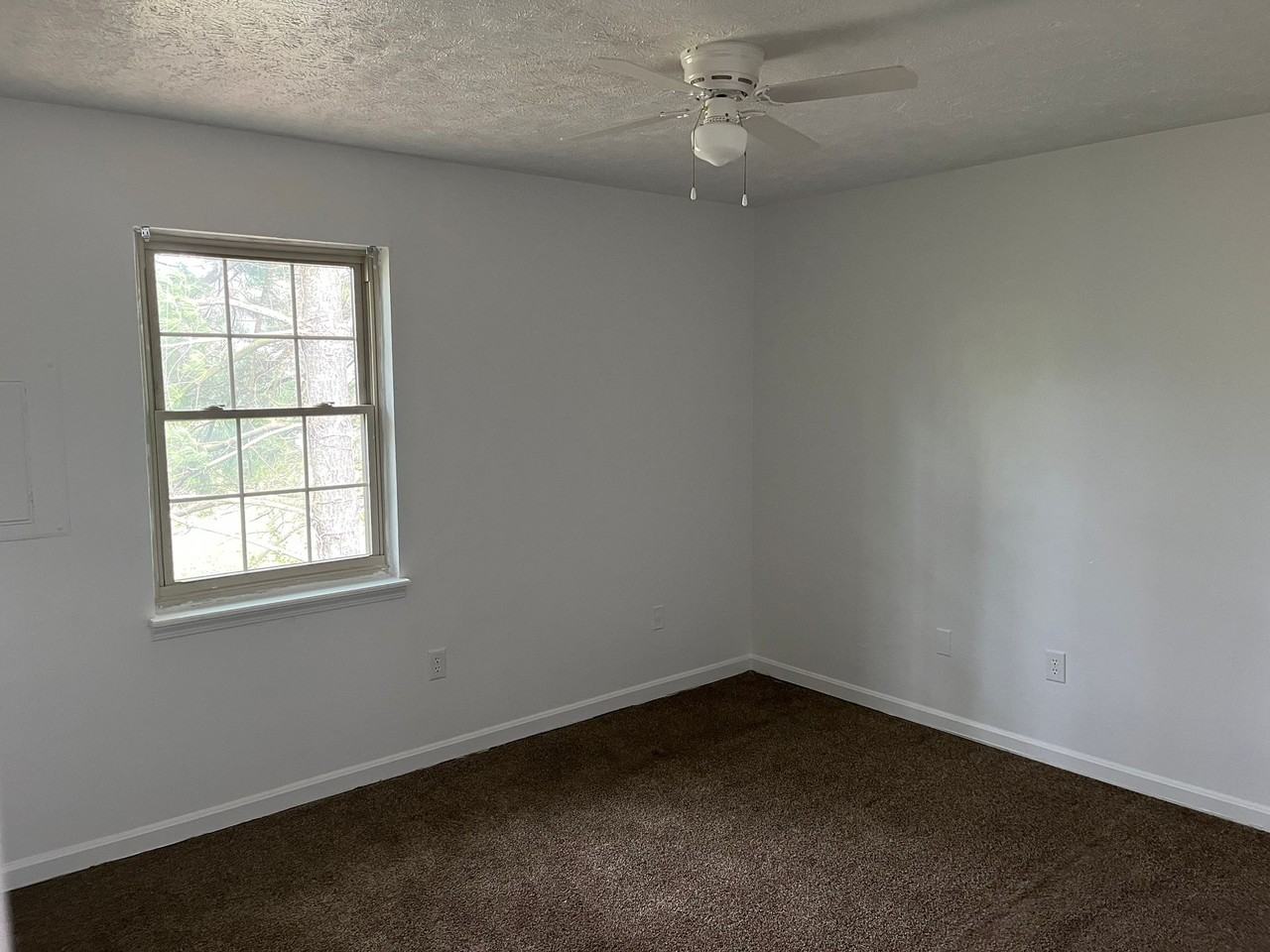 291 Shelby Ave - Photo 2 of 5