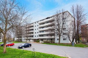 featured image of 131 111-131 Notch Hill Road