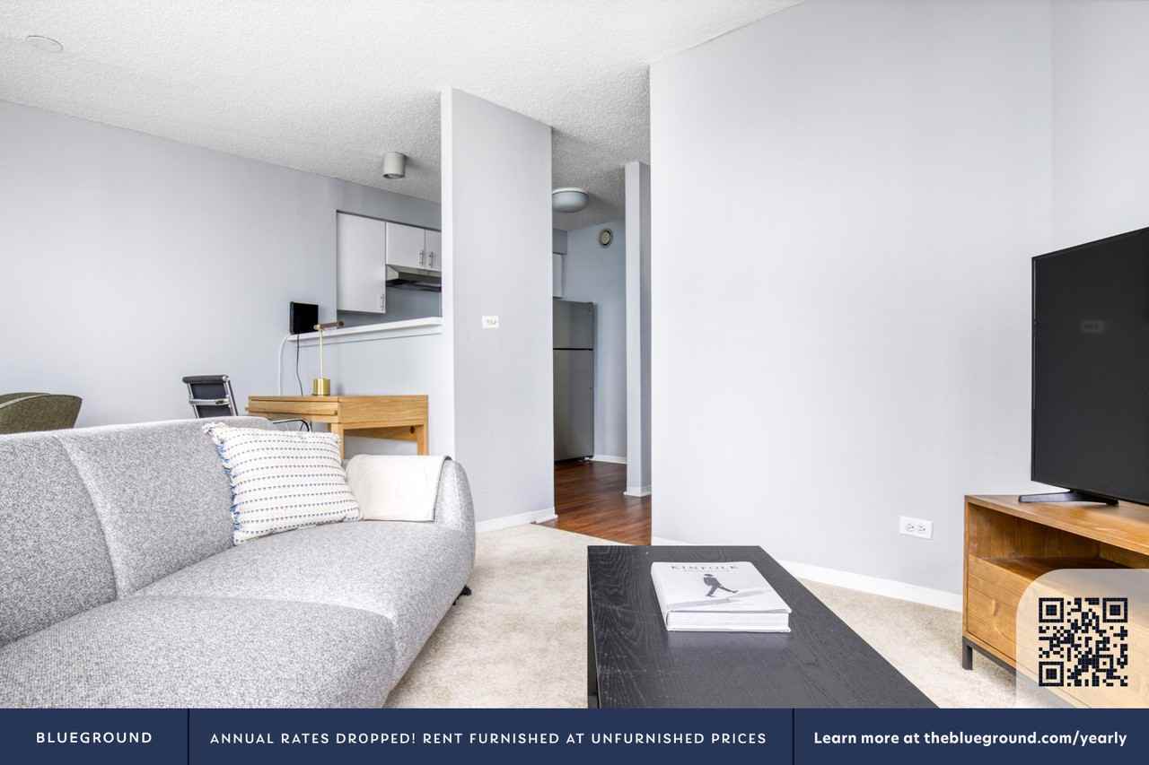 445 East Ohio Street - Photo 3 of 42