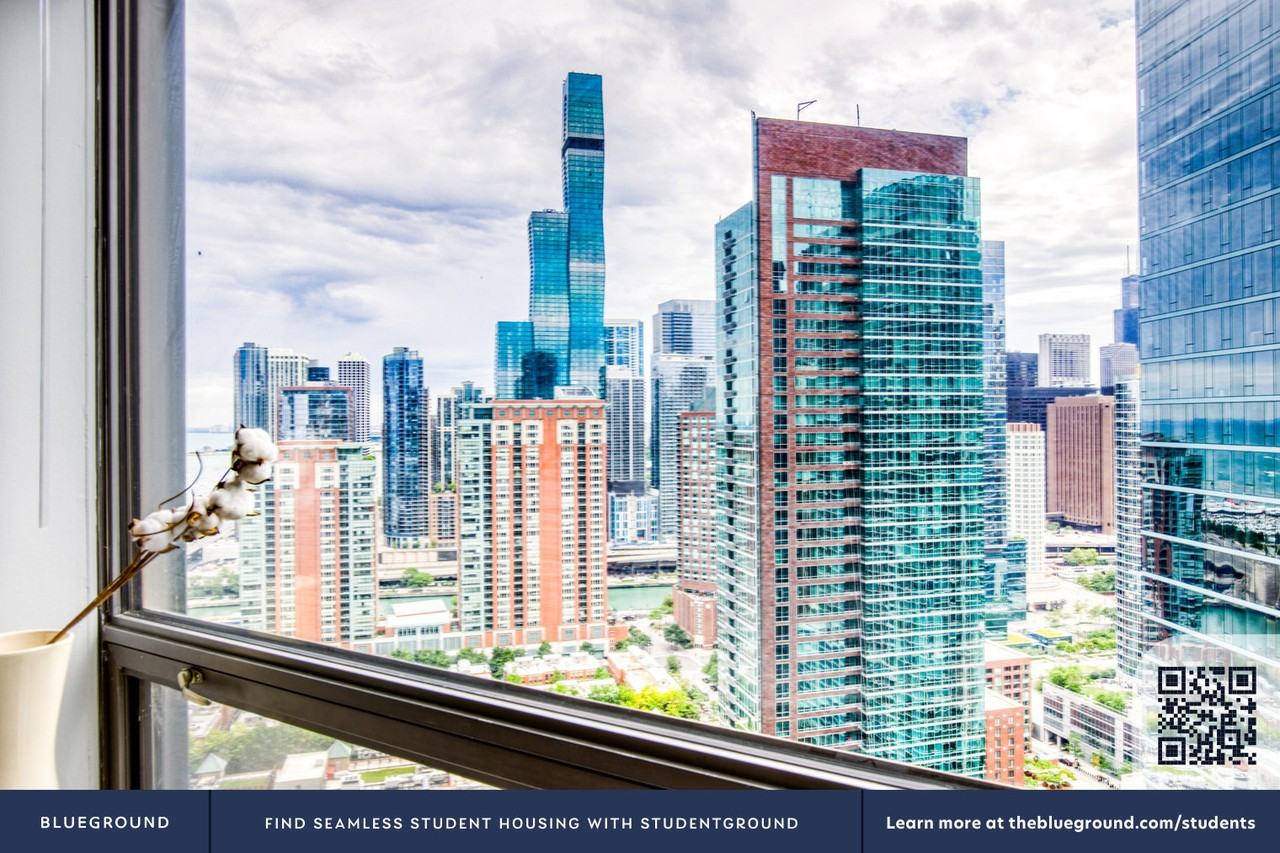 445 East Ohio Street - Photo 6 of 42