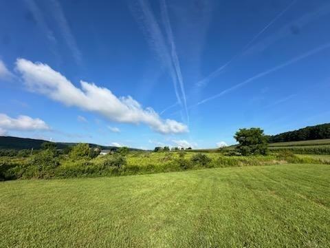 11621 Black Lock Rd - Photo 2 of 18