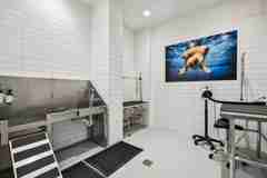 2137 Iron Point Rd - Photo 1 of 1