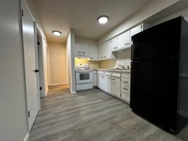 featured image of 125 Bader St