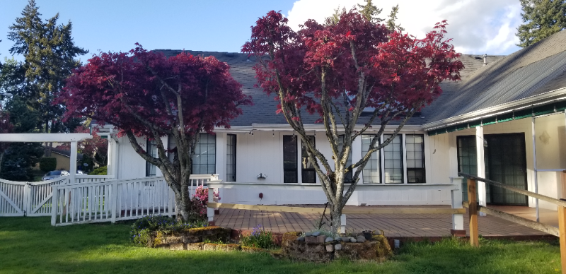 2503 S 364th Pl - Photo 2 of 16