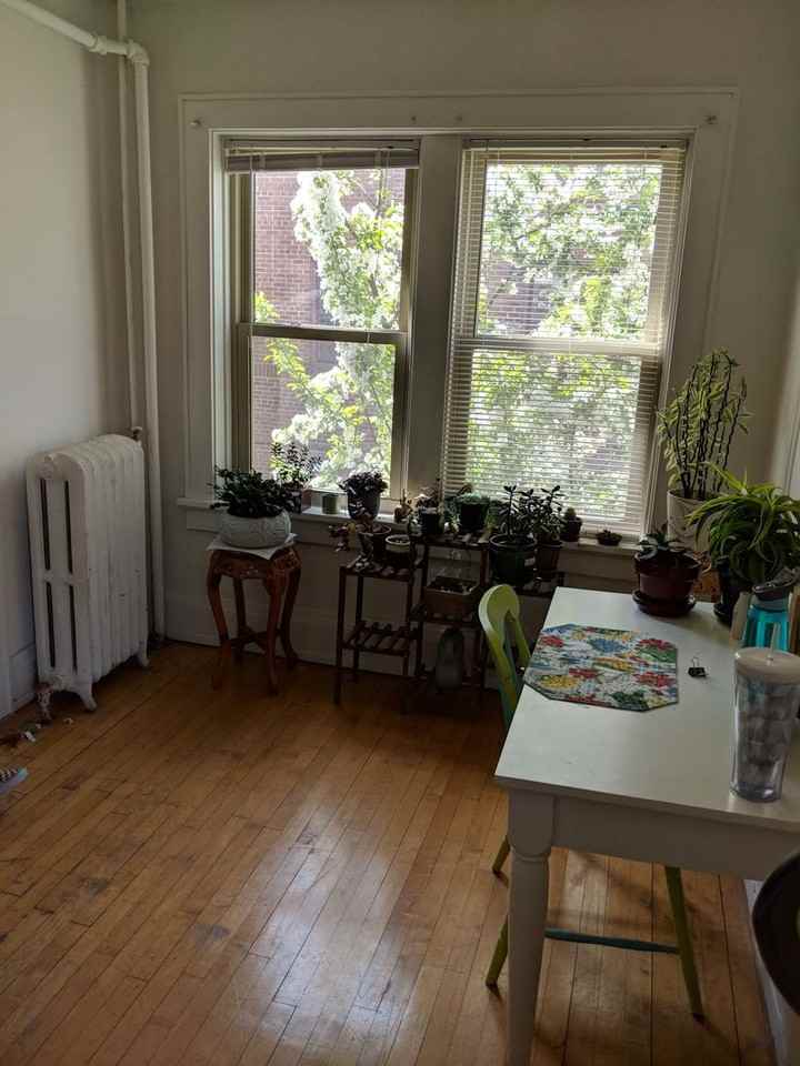 The Riviera Apartments - Photo 3 of 27