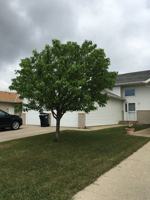 featured image of 3343 30th Ave S