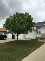 3343 30th Ave S - Photo 1 of 1