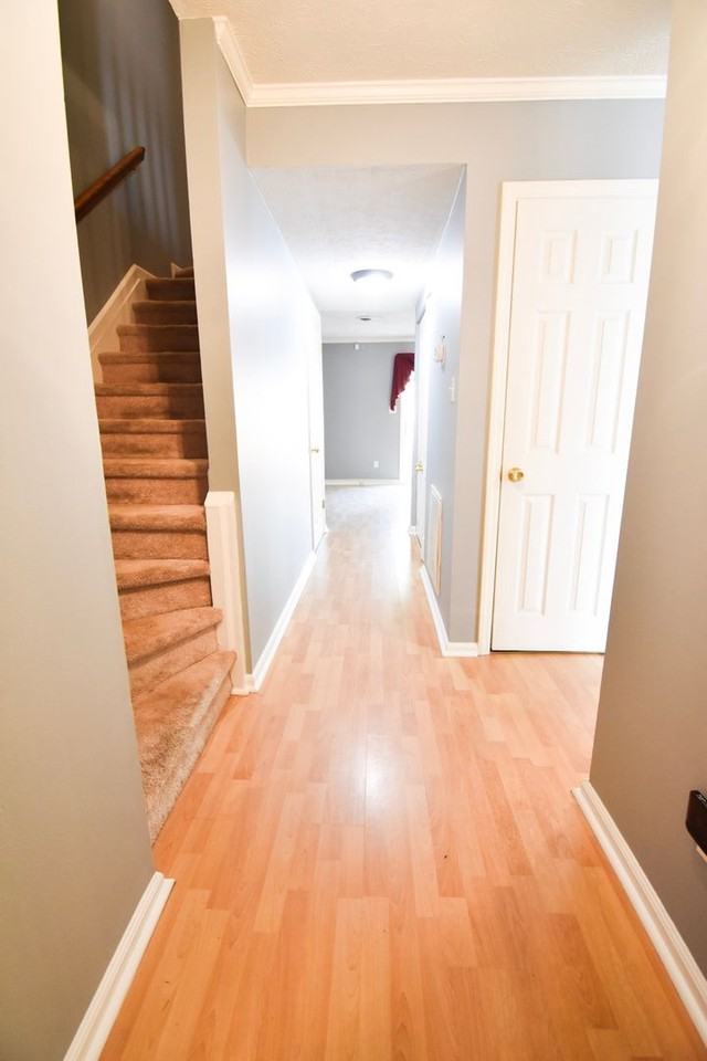 4603 Keg Ct - Photo 3 of 19
