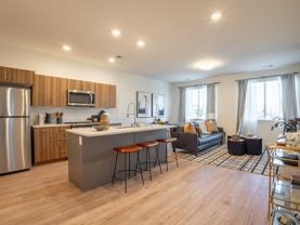 THE VINE - Photo 1 of 1