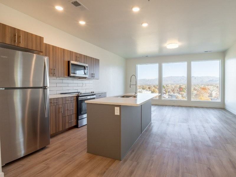 THE VINE - Photo 4 of 27