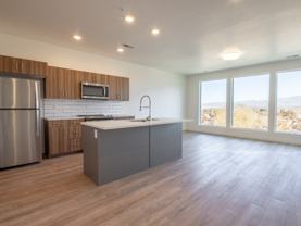 THE VINE - Photo 1 of 1