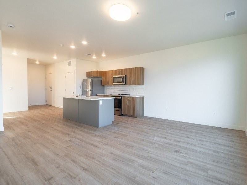 THE VINE - Photo 7 of 27