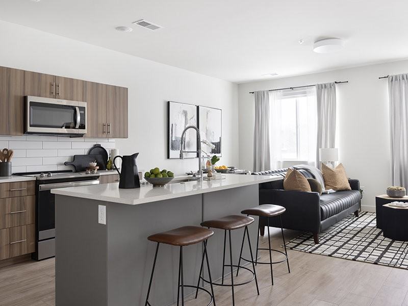 THE VINE - Photo 5 of 27