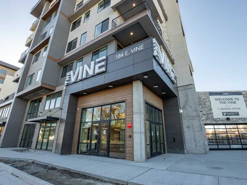 THE VINE - Photo 3 of 27