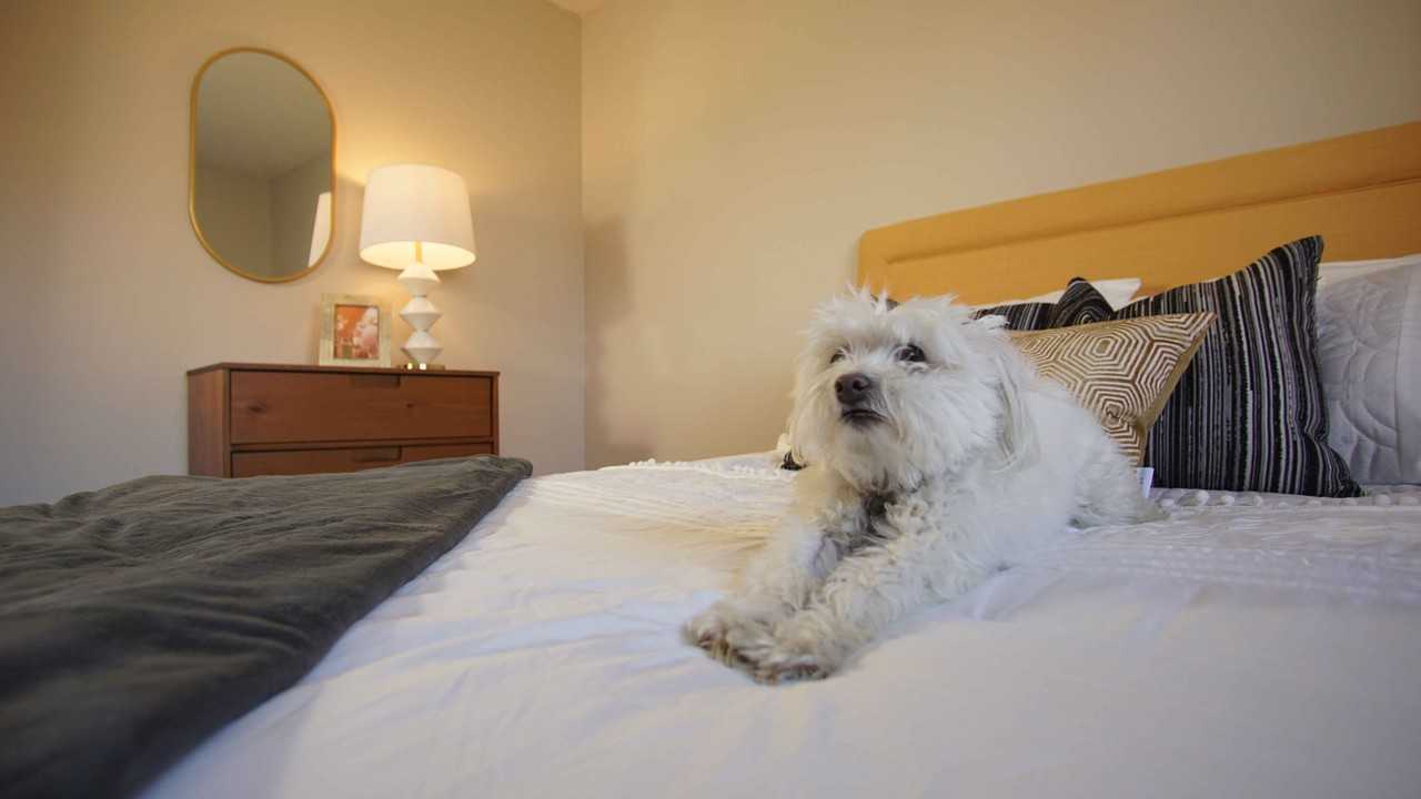 Fairlane at Aksarben - Photo 5 of 28