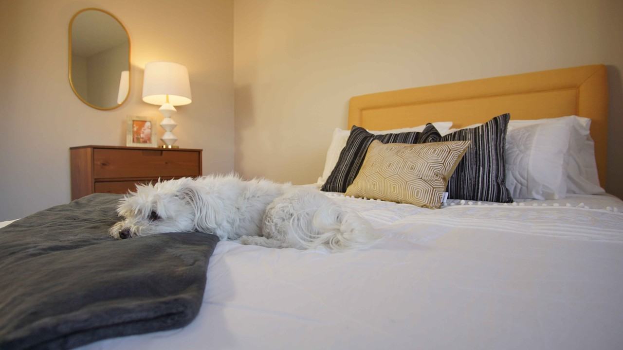 Fairlane at Aksarben - Photo 6 of 28