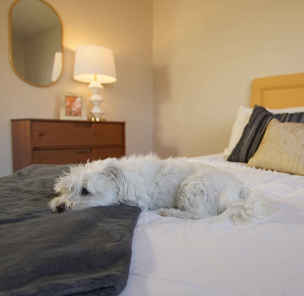 Fairlane at Aksarben - Photo 7 of 28