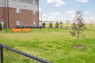 Latitude 41 - Photo 1 of 1
