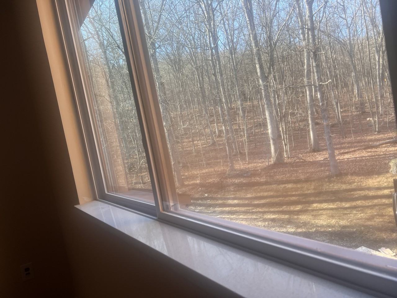 246 Sedburgh Ct #246 - Photo 5 of 20