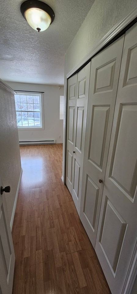 1810 W Olive St #1C - Photo 2 of 33