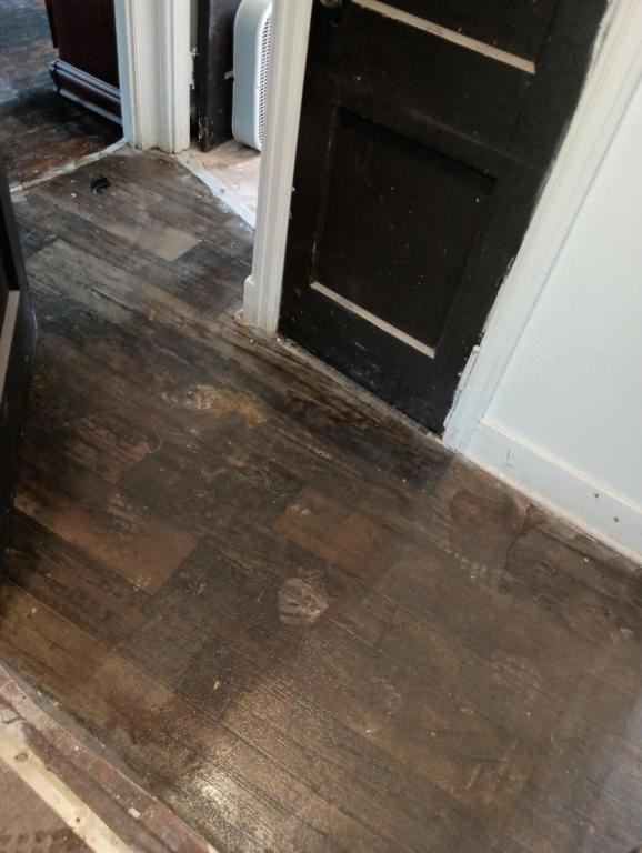 861 Glenwood Ave Back Lower, Buffalo, NY, 14211 - Photo 2 of 7