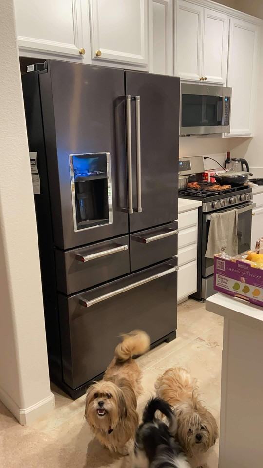 205 E Zinnia Way #NA - Photo 2 of 17