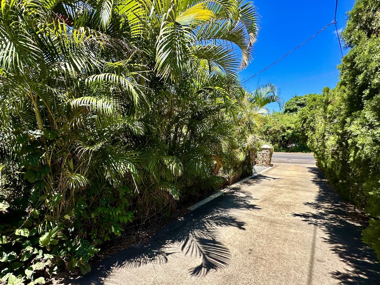 66-090 Waialua Beach Rd #2 - Photo 5 of 26