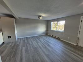 featured image of 6181 Palahi Rd